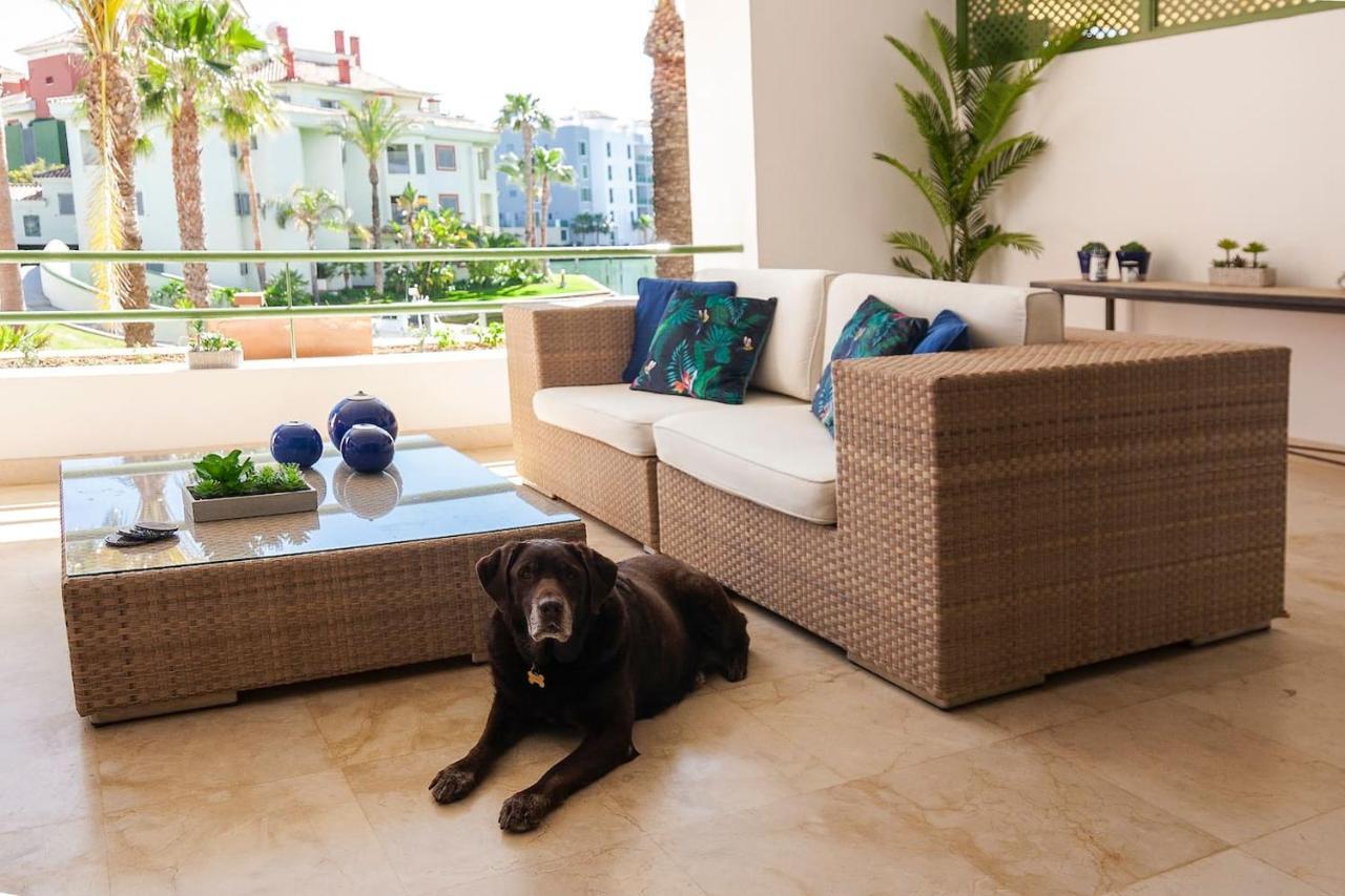 Polo Royale Waterfront Luxury Apt - 3 Terraces And Pool โซโตกรันเด ภายนอก รูปภาพ